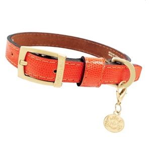 Hartman and Rose dog collar